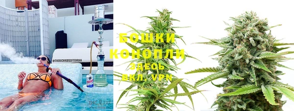 ГАЛЛЮЦИНОГЕННЫЕ ГРИБЫ Володарск